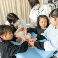 2026年1月12日_動物看護士のおしごと_
