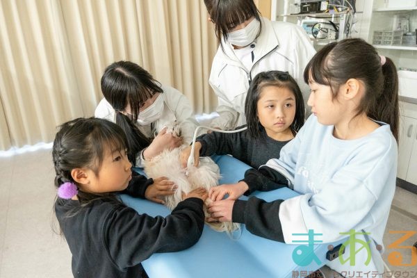 2026年1月12日_動物看護士のおしごと_