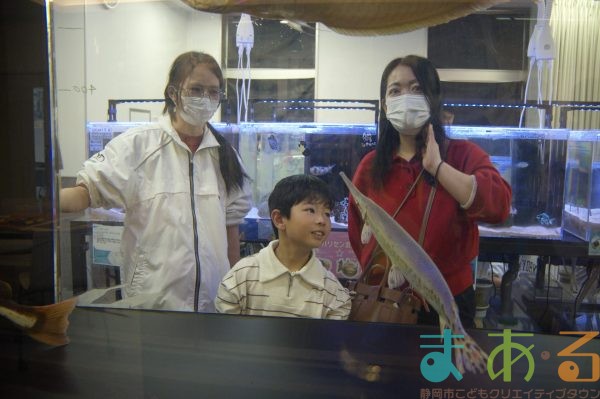 2026年1月12日_動物園の水族館のおしごと体験