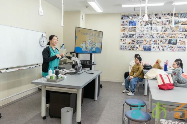 2026年1月12日_動物看護士のおしごと_