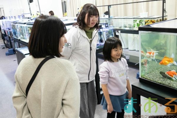 2026年1月12日_動物園の水族館のおしごと体験
