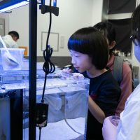 2026年1月12日_動物園の水族館のおしごと体験