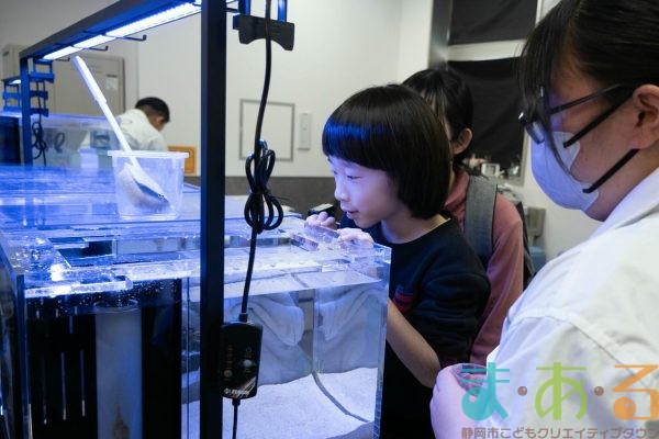 2026年1月12日_動物園の水族館のおしごと体験