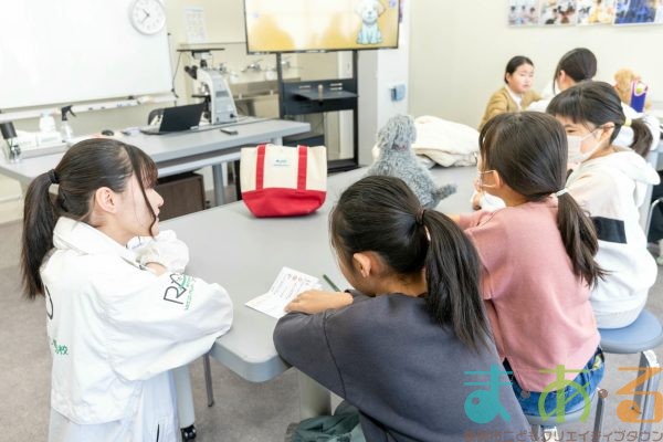 2026年1月12日_動物看護士のおしごと_