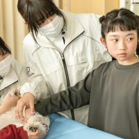 2026年1月12日_動物看護士のおしごと_