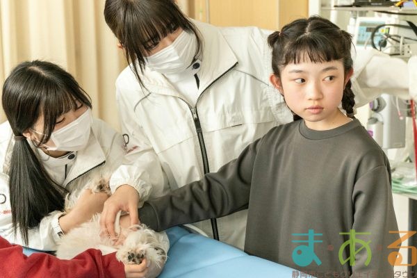 2026年1月12日_動物看護士のおしごと_