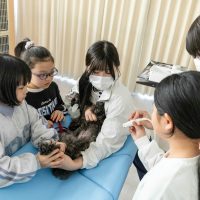 2026年1月12日_動物看護士のおしごと_