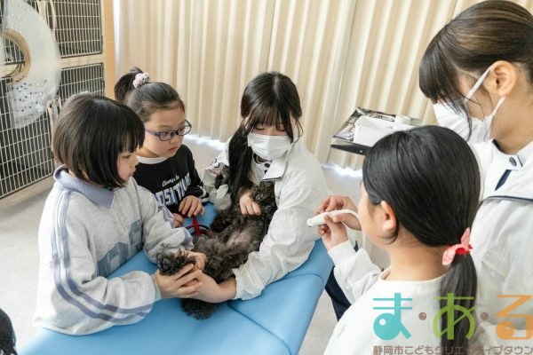 2026年1月12日_動物看護士のおしごと_