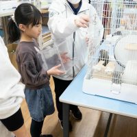 2026年1月12日_動物園の水族館のおしごと体験