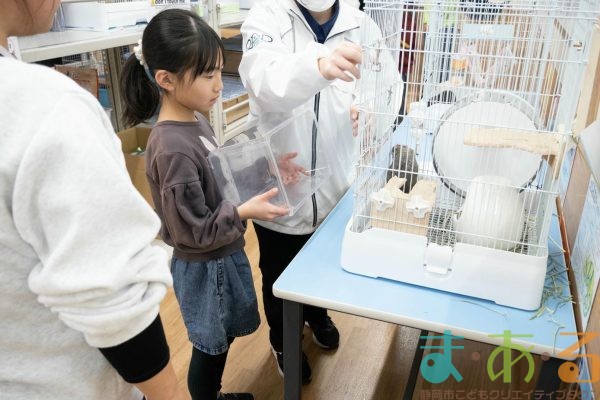 2026年1月12日_動物園の水族館のおしごと体験