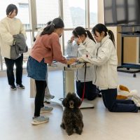 2026年1月12日_動物看護士のおしごと_