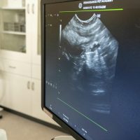 2026年1月12日_動物看護士のおしごと_