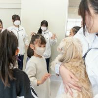 2026年1月12日_動物看護士のおしごと_