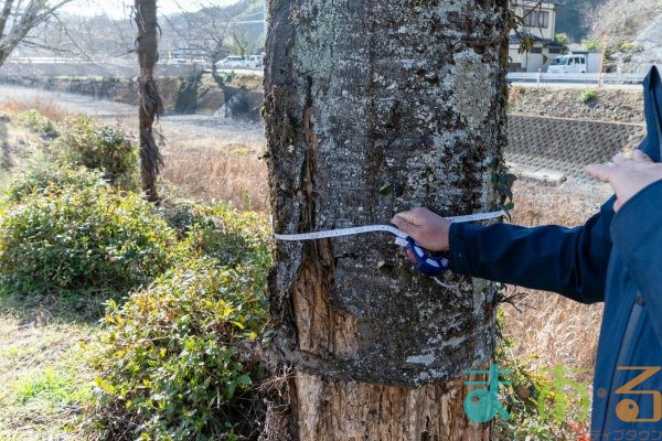 2026年1月19日_静岡市立服織西小学校_