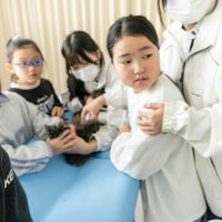 2026年1月12日_動物看護士のおしごと_