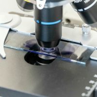 2026年1月12日_動物看護士のおしごと_