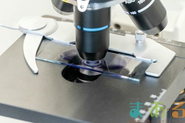 2026年1月12日_動物看護士のおしごと_