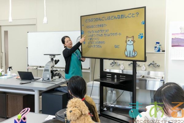 2026年1月12日_動物看護士のおしごと_