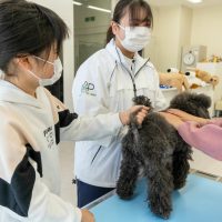 2026年1月12日_動物看護士のおしごと_