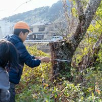 2026年1月19日_静岡市立服織西小学校_