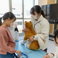 2026年1月12日_動物看護士のおしごと_