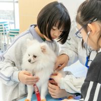 2026年1月12日_動物看護士のおしごと_