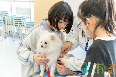 2026年1月12日_動物看護士のおしごと_