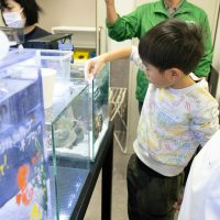 2026年1月12日_動物園の水族館のおしごと体験