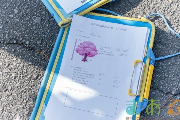 2026年1月19日_静岡市立服織西小学校_