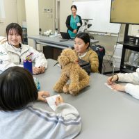 2026年1月12日_動物看護士のおしごと_