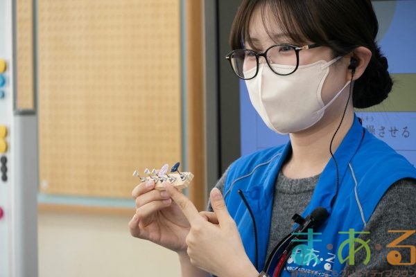 2026年1月5日_ジェルネイルチップ作り