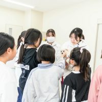 2026年1月12日_動物看護士のおしごと_