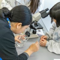 2026年1月12日_動物看護士のおしごと_