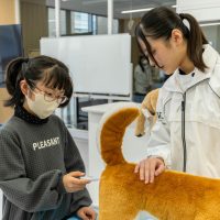 2026年1月12日_動物看護士のおしごと_