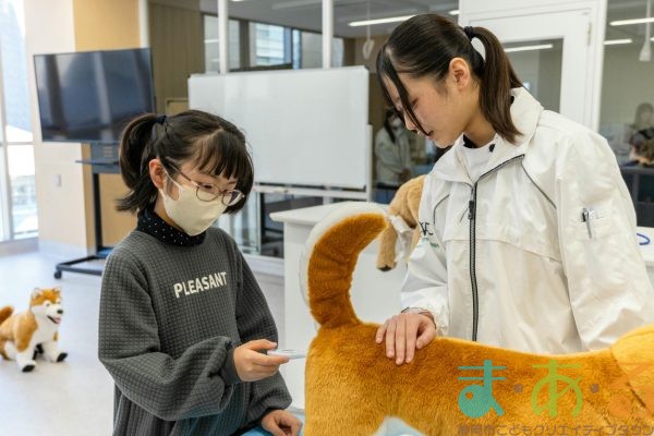 2026年1月12日_動物看護士のおしごと_