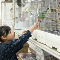 2026年1月12日_動物園の水族館のおしごと体験