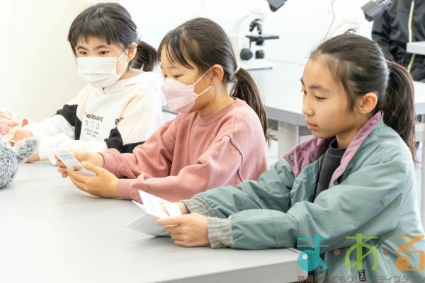 2026年1月12日_動物看護士のおしごと_