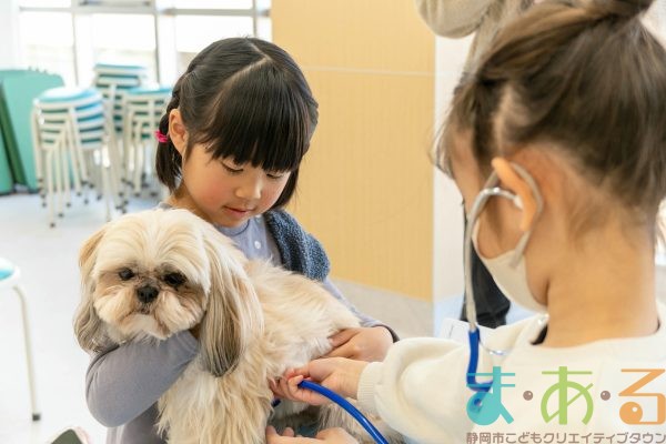 2026年1月12日_動物看護士のおしごと_