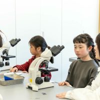 2026年1月12日_動物看護士のおしごと_