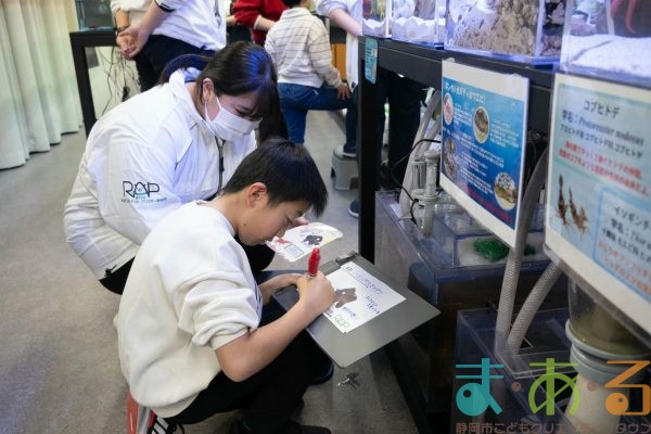 2026年1月12日_動物園の水族館のおしごと体験
