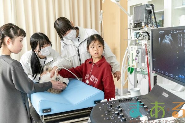 2026年1月12日_動物看護士のおしごと_