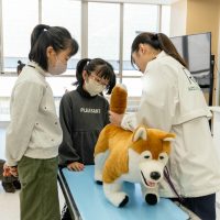 2026年1月12日_動物看護士のおしごと_