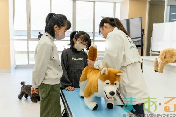 2026年1月12日_動物看護士のおしごと_