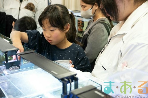 2026年1月12日_動物園の水族館のおしごと体験