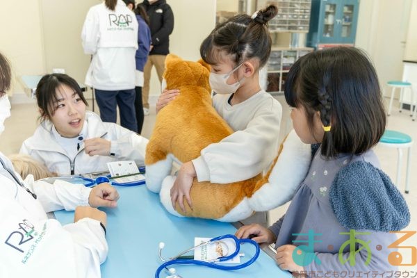 2026年1月12日_動物看護士のおしごと_