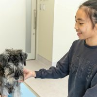 2026年1月12日_動物看護士のおしごと_