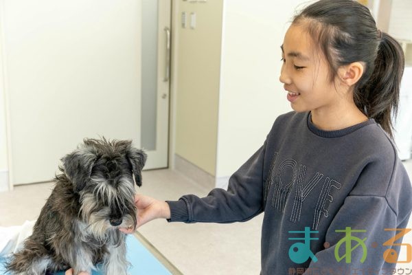 2026年1月12日_動物看護士のおしごと_