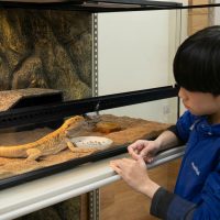 2026年1月12日_動物園の水族館のおしごと体験