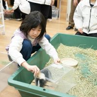 2026年1月12日_動物園の水族館のおしごと体験