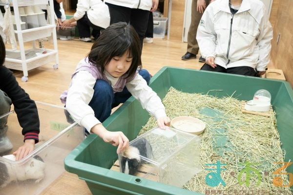 2026年1月12日_動物園の水族館のおしごと体験